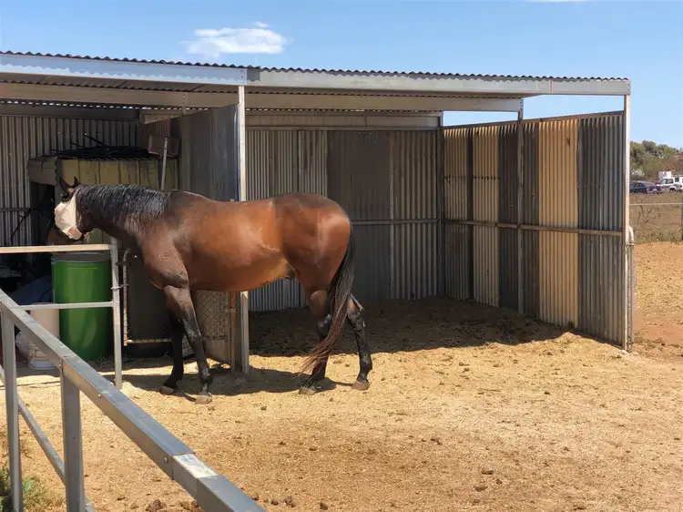 Third view of Homely land listing, 20 Harris Road, Dublin SA 5501