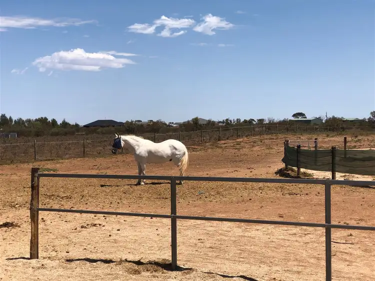 Fourth view of Homely land listing, 20 Harris Road, Dublin SA 5501