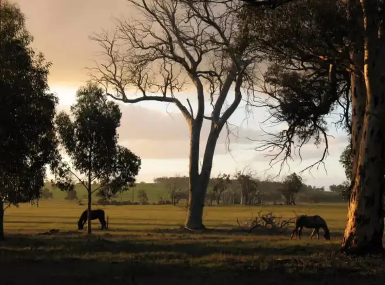 3674 Albany Highway, Woodanilling WA 6316
