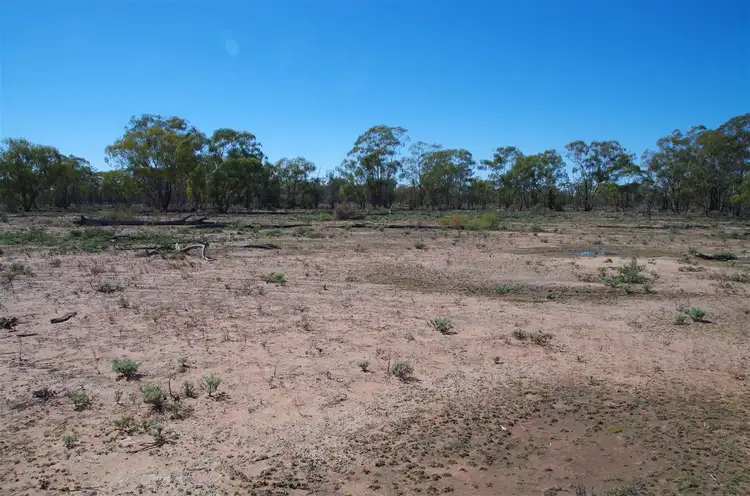 Second view of Homely rural property listing, 566 Werah Creek Road, Wee Waa NSW 2388