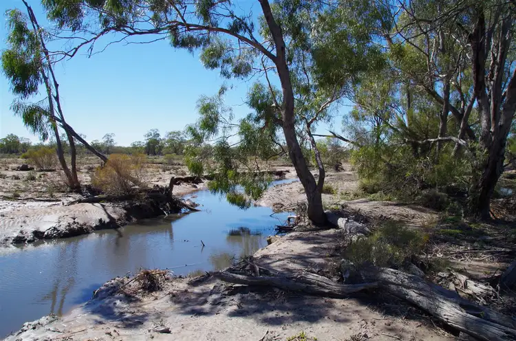 Fifth view of Homely rural property listing, 566 Werah Creek Road, Wee Waa NSW 2388