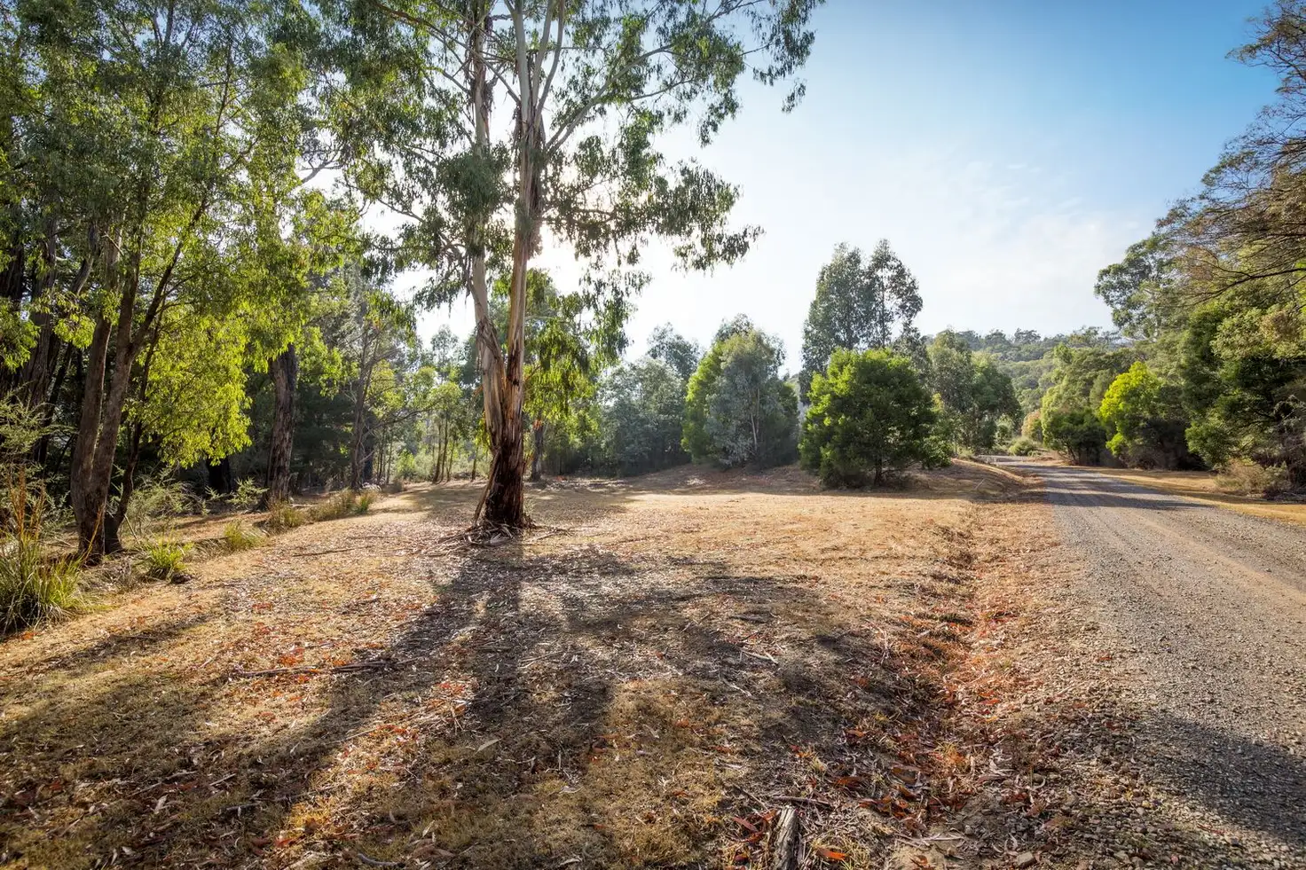 Main view of Homely rural property listing, 504 Myles Road, Murrindindi VIC 3717