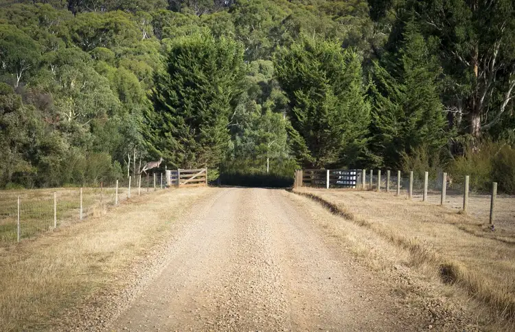 Second view of Homely rural property listing, 504 Myles Road, Murrindindi VIC 3717