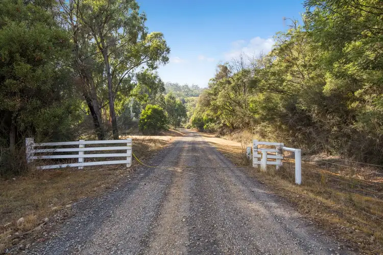 Third view of Homely rural property listing, 504 Myles Road, Murrindindi VIC 3717