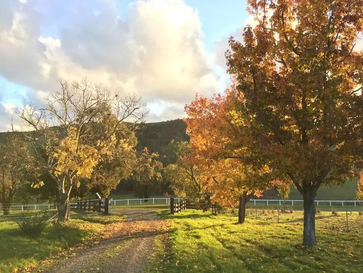 Fourth view of Homely rural property listing, 152 Walls Road, Glenburn VIC 3717