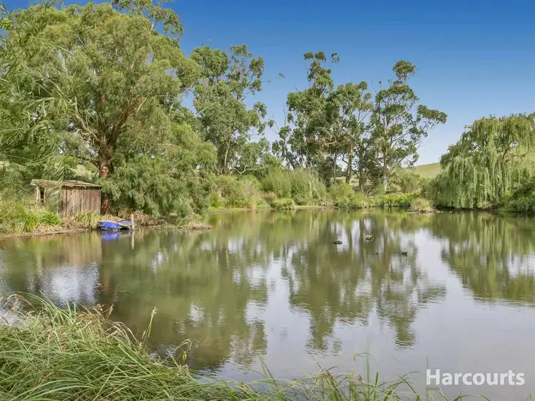 Fourth view of Homely rural property listing, 1115 Jacksons Track, Jindivick VIC 3818
