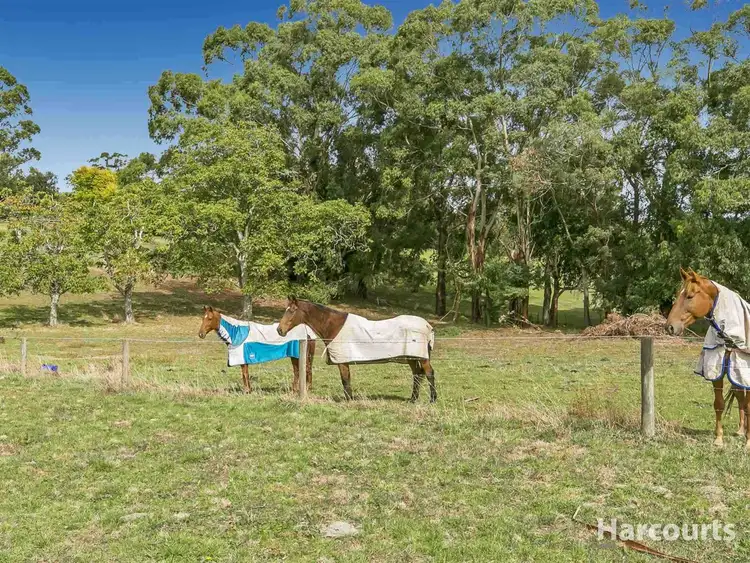 Fifth view of Homely rural property listing, 1115 Jacksons Track, Jindivick VIC 3818