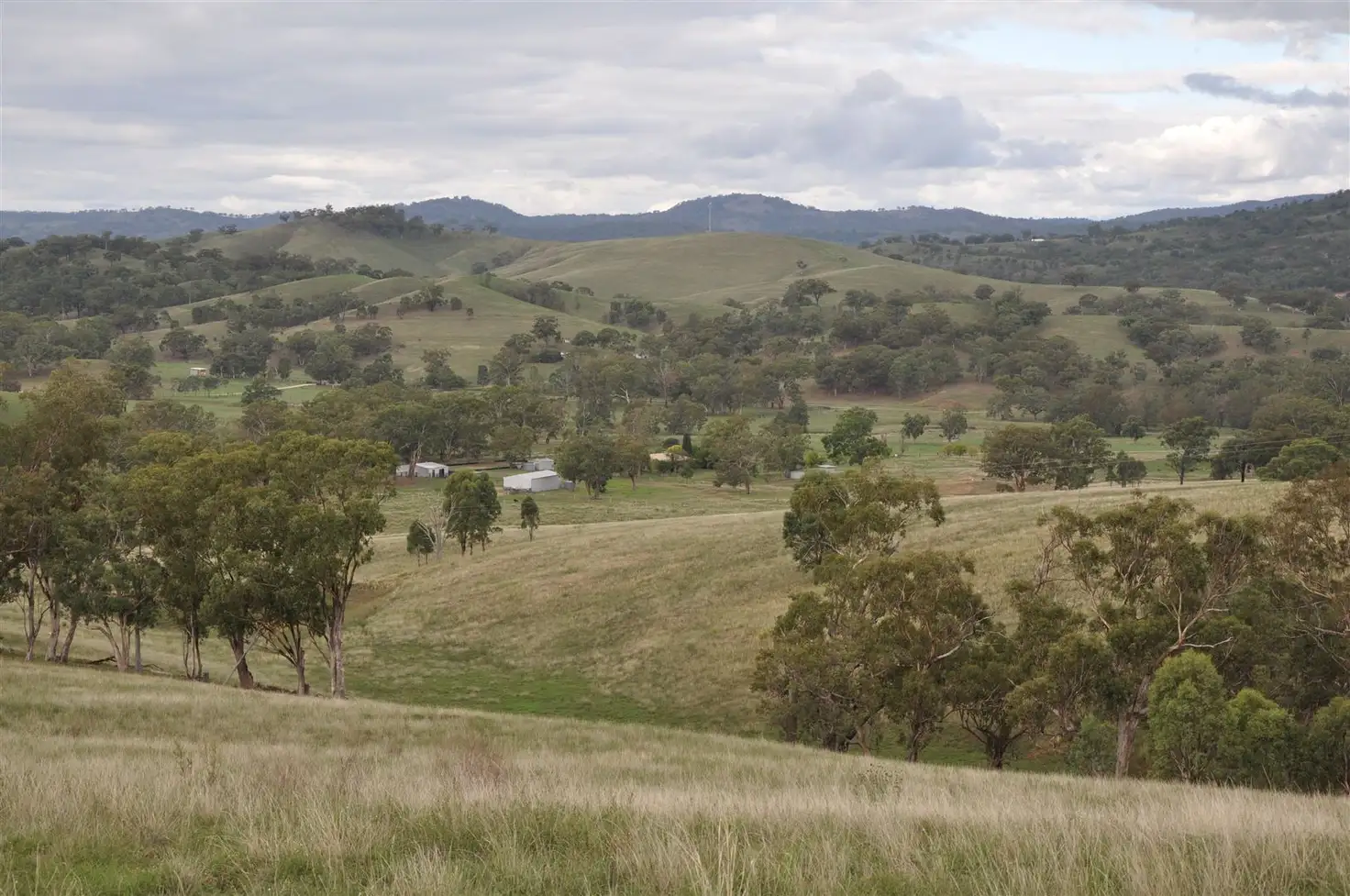 Main view of Homely rural property listing, . 'Kingdon Ponds' Wrights Rd, Wingen via, Scone NSW 2337