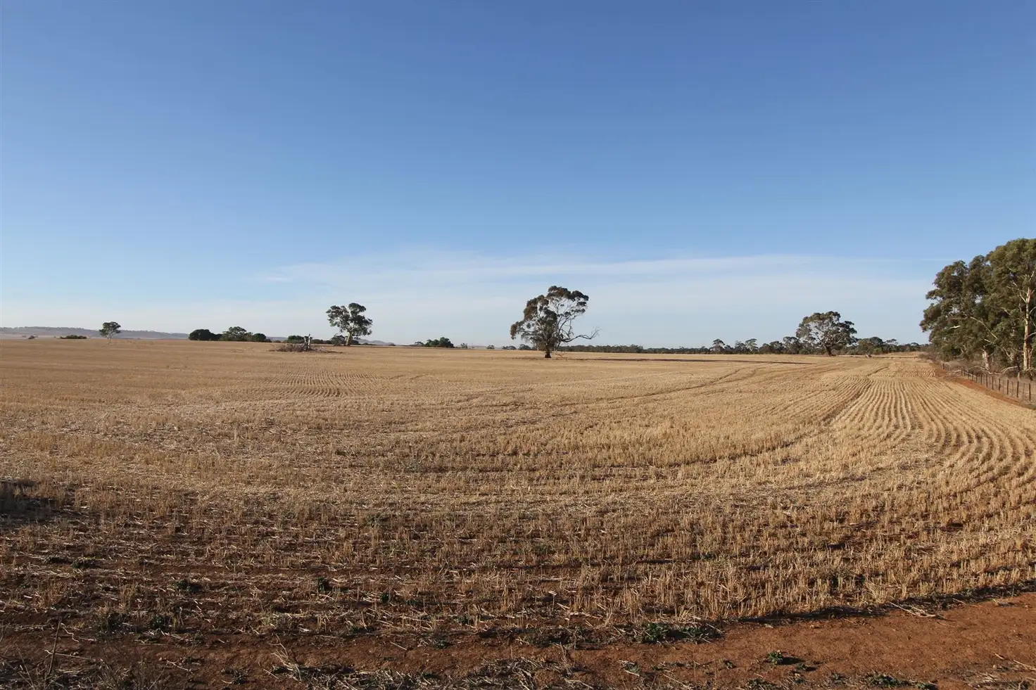 Main view of Homely rural property listing, 50 & 91 Barrier Highway, Riverton SA 5412