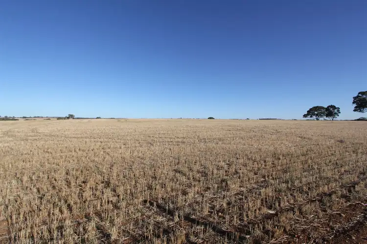 Second view of Homely rural property listing, 50 & 91 Barrier Highway, Riverton SA 5412