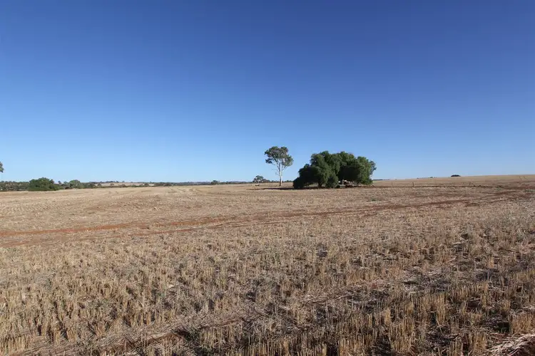 Third view of Homely rural property listing, 50 & 91 Barrier Highway, Riverton SA 5412