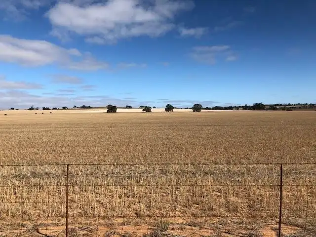 Seventh view of Homely rural property listing, 50 & 91 Barrier Highway, Riverton SA 5412