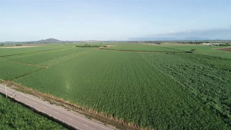 Third view of Homely rural property listing, 78 Liebrecht Road, Ayr QLD 4807