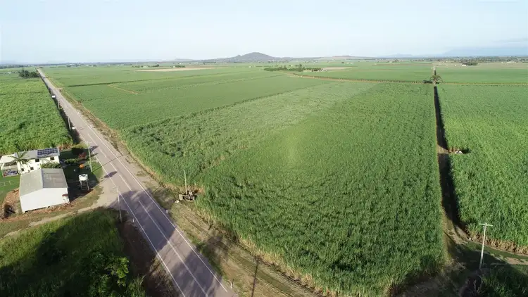 Fourth view of Homely rural property listing, 78 Liebrecht Road, Ayr QLD 4807