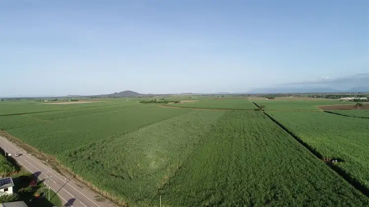 Fifth view of Homely rural property listing, 78 Liebrecht Road, Ayr QLD 4807