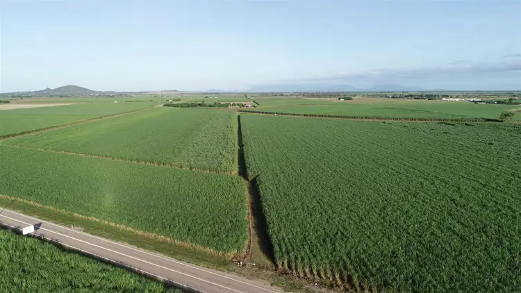 Sixth view of Homely rural property listing, 78 Liebrecht Road, Ayr QLD 4807