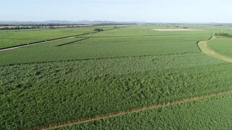 Seventh view of Homely rural property listing, 78 Liebrecht Road, Ayr QLD 4807