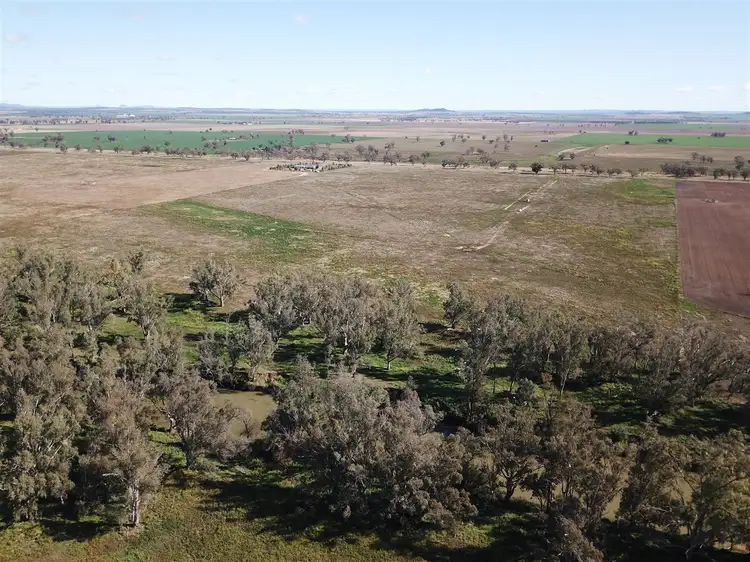 Third view of Homely rural property listing, . Kamilaroi Highway, Gunnedah NSW 2380