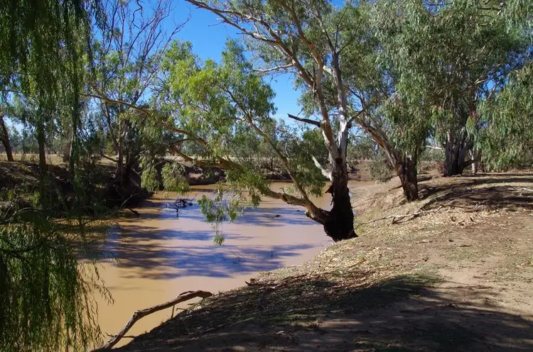Fourth view of Homely rural property listing, . Kamilaroi Highway, Gunnedah NSW 2380