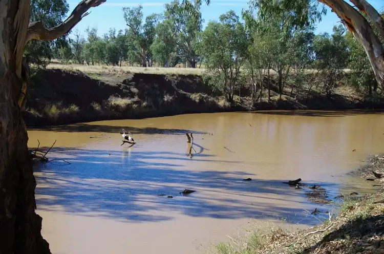 Sixth view of Homely rural property listing, . Kamilaroi Highway, Gunnedah NSW 2380