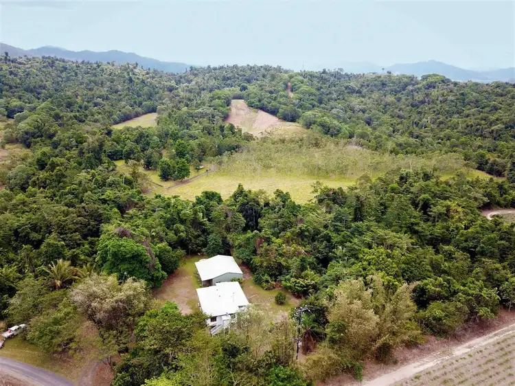Third view of Homely rural property listing, 48 Reichardt Road, Silkwood QLD 4856
