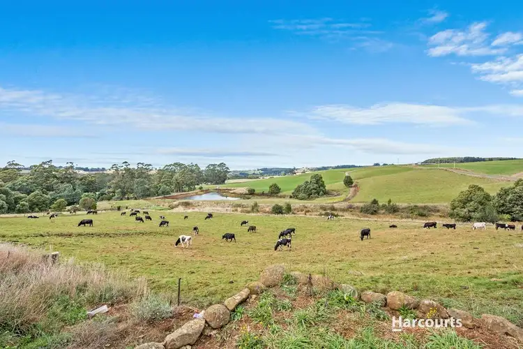 Fourth view of Homely rural property listing, 1535 Calder Road, Calder TAS 7325