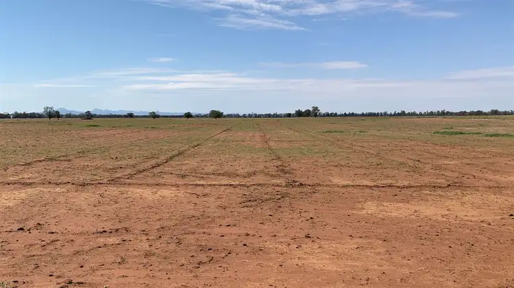 Main view of Homely rural property listing, 'Almora' 232 Fergusons Road, Gulargambone NSW 2828