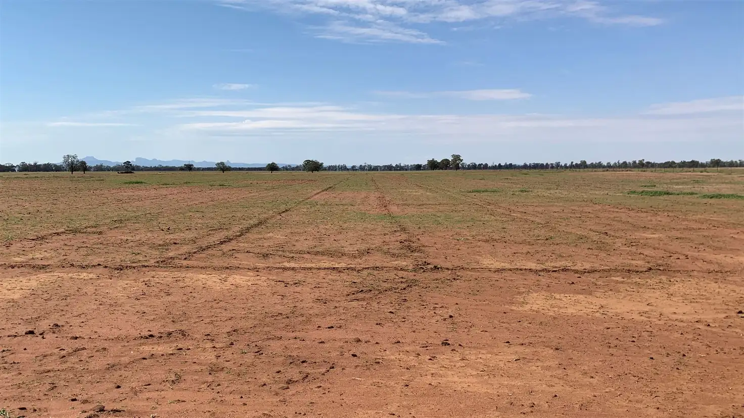 Main view of Homely rural property listing, 'Almora' 232 Fergusons Road, Gulargambone NSW 2828