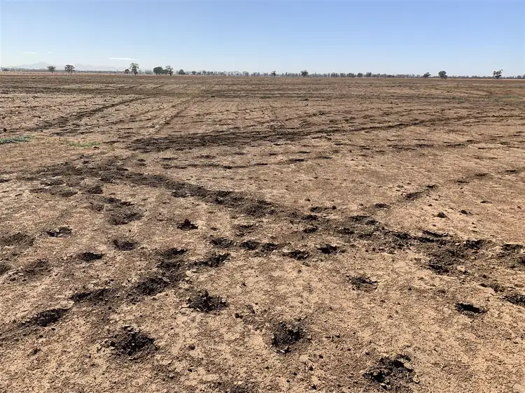 Fourth view of Homely rural property listing, 'Almora' 232 Fergusons Road, Gulargambone NSW 2828