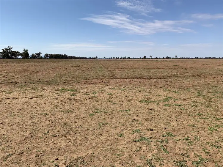 Fifth view of Homely rural property listing, 'Almora' 232 Fergusons Road, Gulargambone NSW 2828