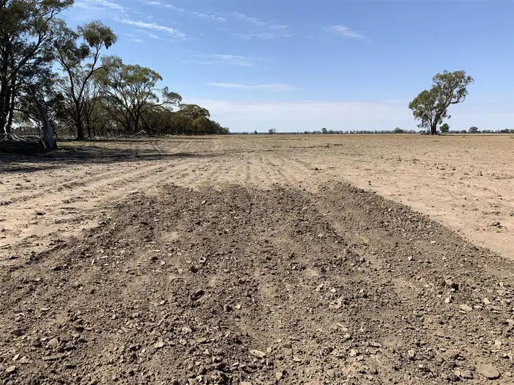 Sixth view of Homely rural property listing, 'Almora' 232 Fergusons Road, Gulargambone NSW 2828