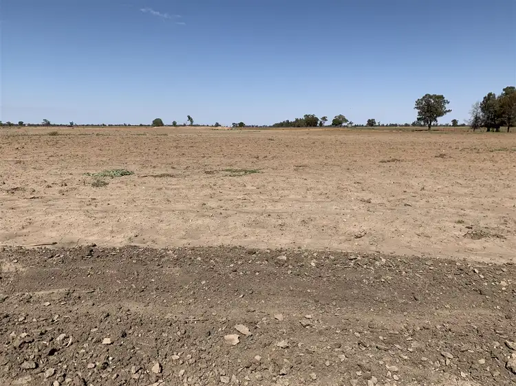 Seventh view of Homely rural property listing, 'Almora' 232 Fergusons Road, Gulargambone NSW 2828
