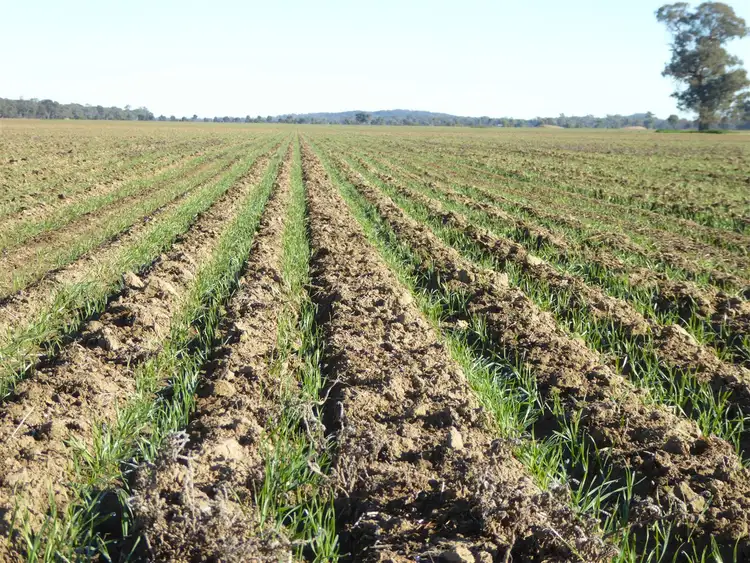 Lot 77 Walla Walbundrie Road, Walla Walla NSW 2659