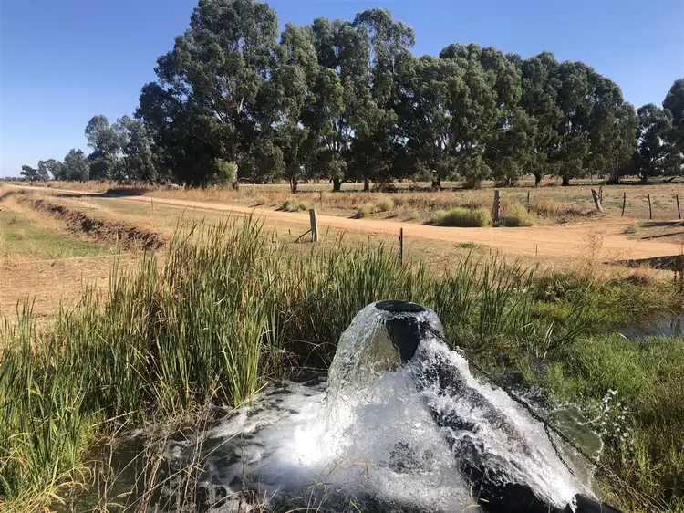 Third view of Homely rural property listing, . Calwarra, Deniliquin NSW 2710