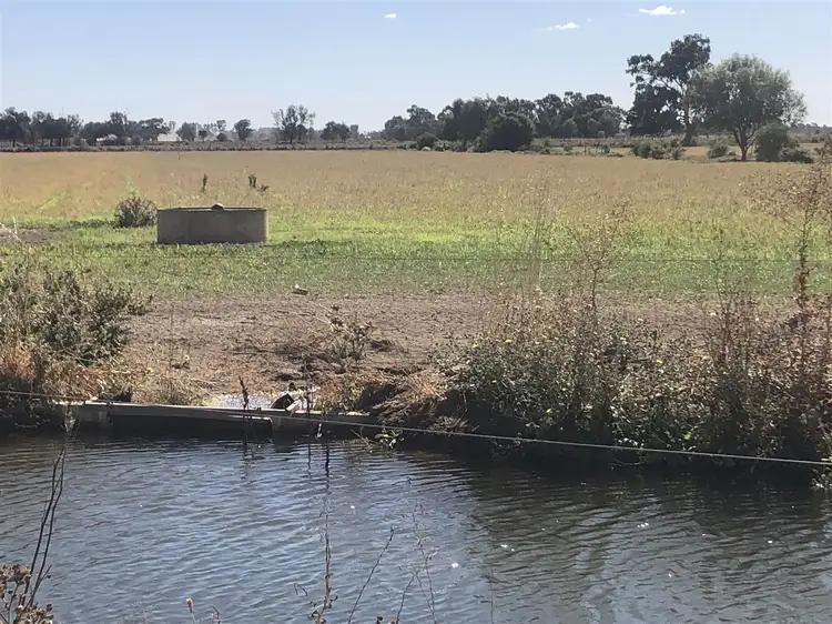 Fifth view of Homely rural property listing, . Calwarra, Deniliquin NSW 2710