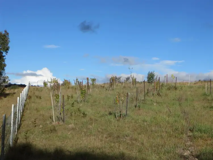 Sixth view of Homely rural property listing, Address available on request