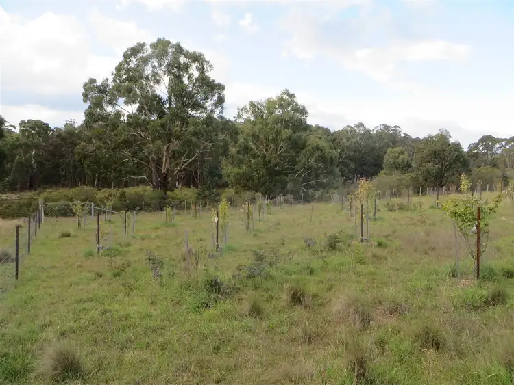 Seventh view of Homely rural property listing, Address available on request