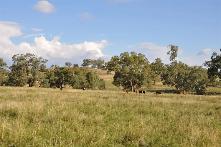 Second view of Homely rural property listing, . 'Clearview', Cassilis Rd, Cassilis NSW 2329