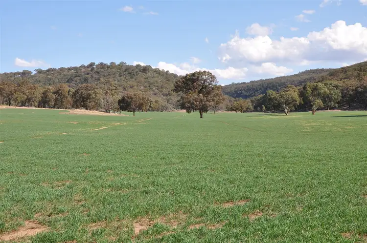 Sixth view of Homely rural property listing, . 'Cloven Hills', Neilrex Rd, Coolah NSW 2843