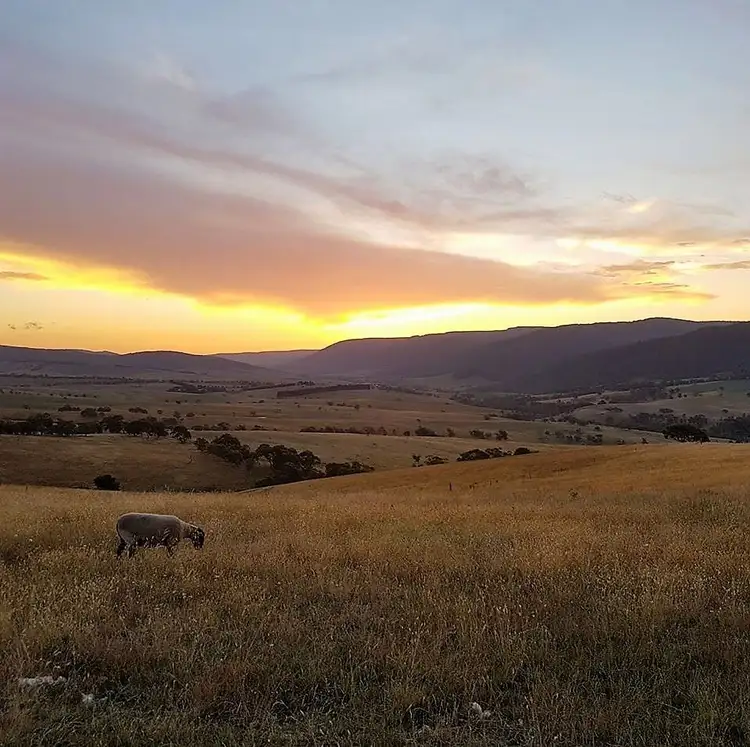 Main view of Homely rural property listing, 145 Lot 8 Leonard Drive, Omeo VIC 3898