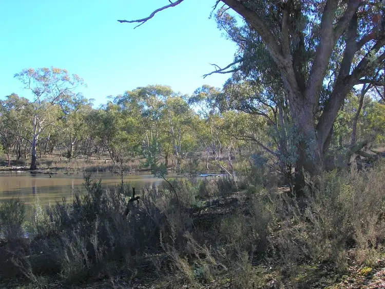 Main view of Homely rural property listing, Lot 34 Palarang Road, Merriangaah, Bombala NSW 2632