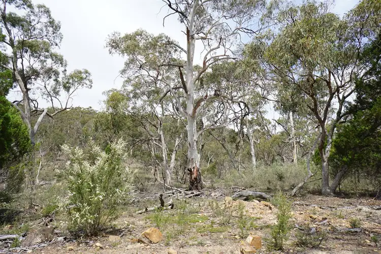 Third view of Homely rural property listing, Lot 34 Palarang Road, Merriangaah, Bombala NSW 2632