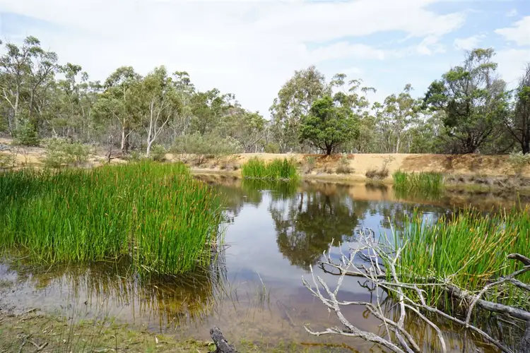 Lot 71 Palarang Road Merriangaah, Bombala NSW 2632