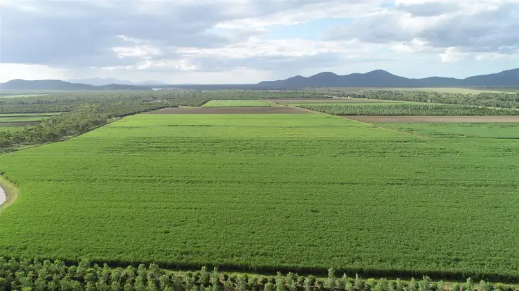 Second view of Homely rural property listing, 5120 Ayr Dalbeg Road, Millaroo QLD 4807