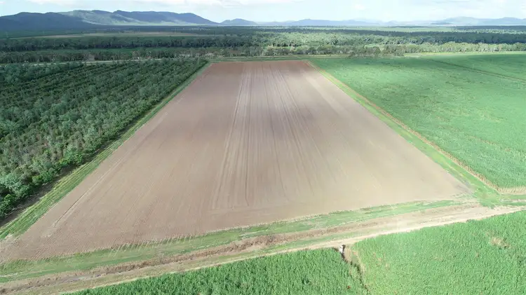 Fifth view of Homely rural property listing, 5120 Ayr Dalbeg Road, Millaroo QLD 4807