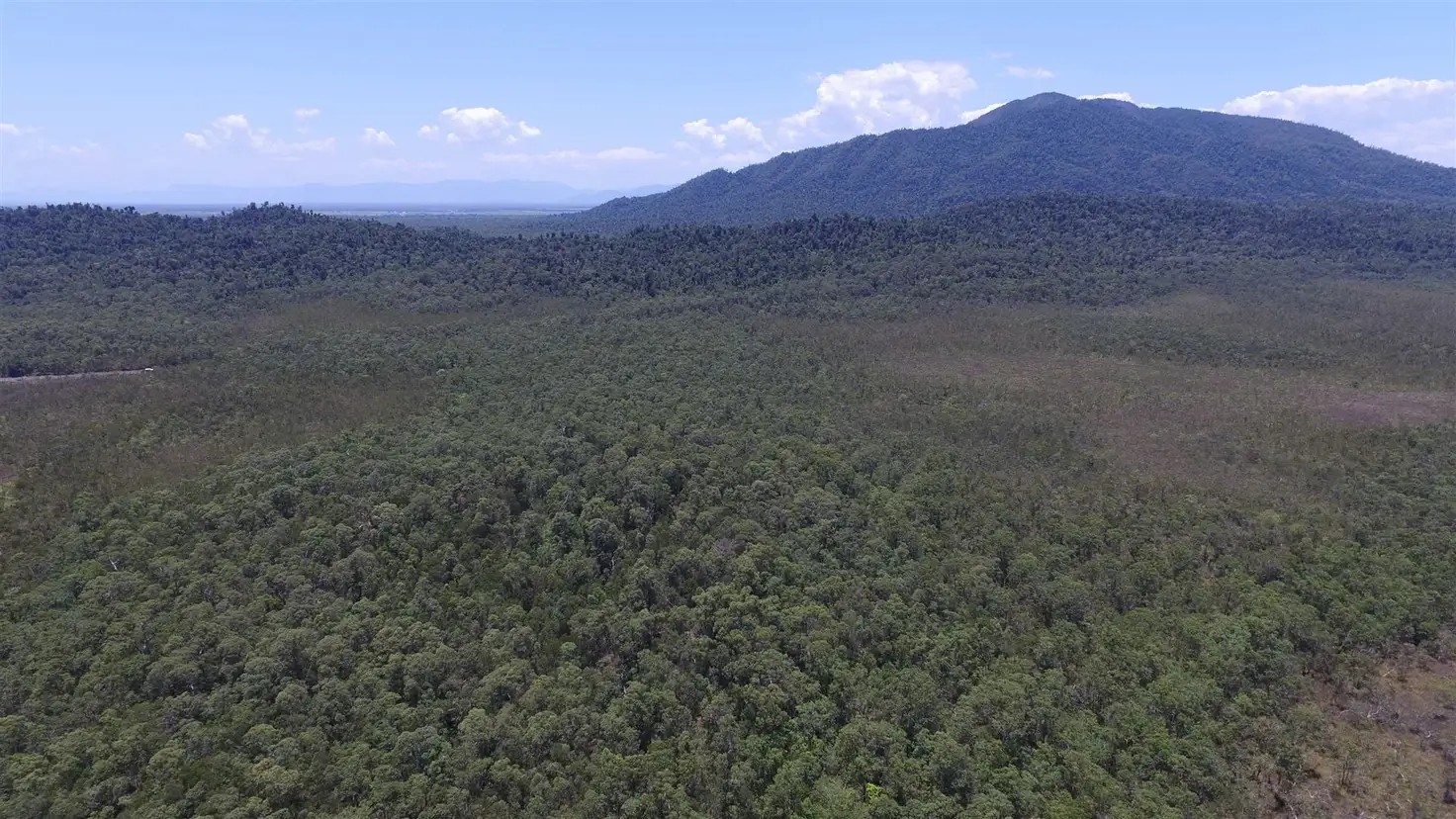 Main view of Homely rural property listing, 0 Tully-Mission Beach Road, East Feluga QLD 4854