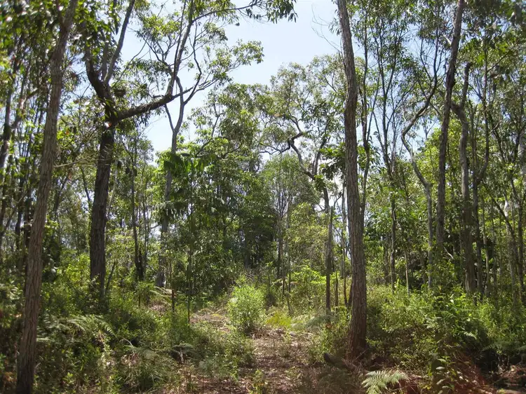 Second view of Homely rural property listing, 0 Tully-Mission Beach Road, East Feluga QLD 4854