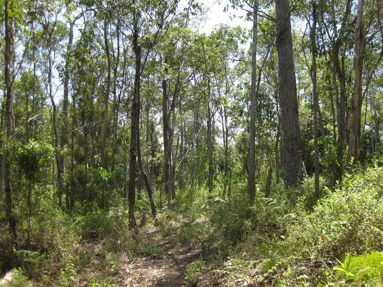 Fourth view of Homely rural property listing, 0 Tully-Mission Beach Road, East Feluga QLD 4854