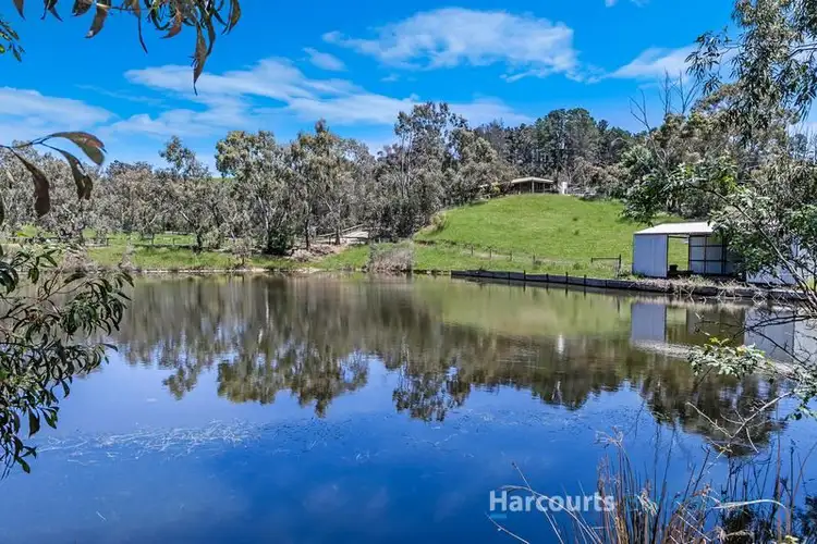 Third view of Homely rural property listing, 244 Wattle Rd, Kersbrook SA 5231