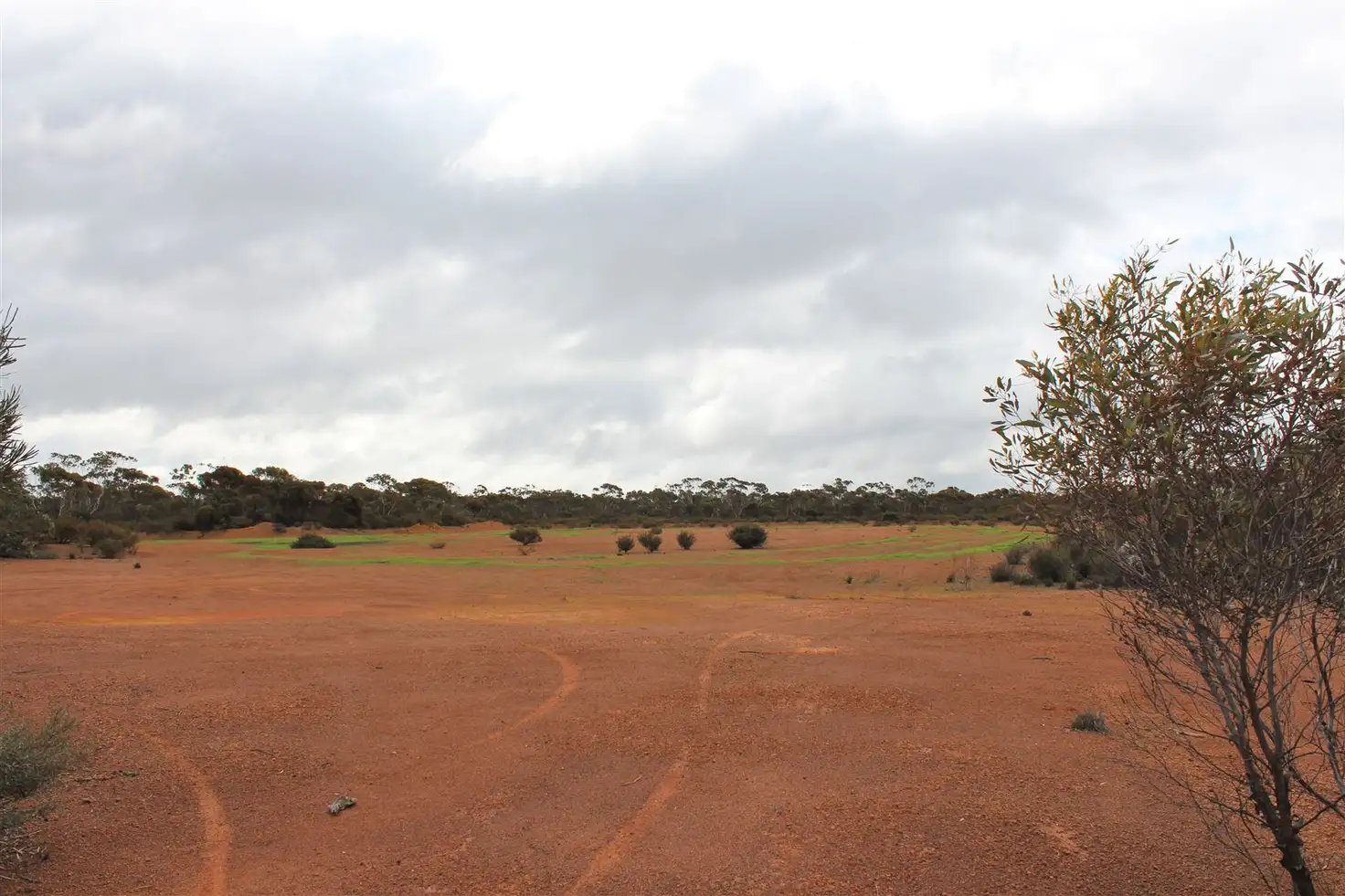Main view of Homely rural property listing, . Challis Road, Pingrup WA 6343
